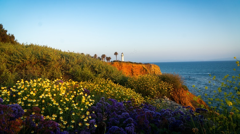 Coastal view in Palos Verdes