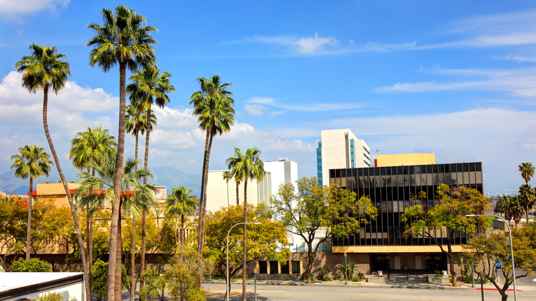 san bernardino sunny day