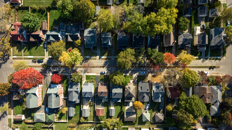 Aerial photo of a residential street and early fall foliage in Dayton, Ohio