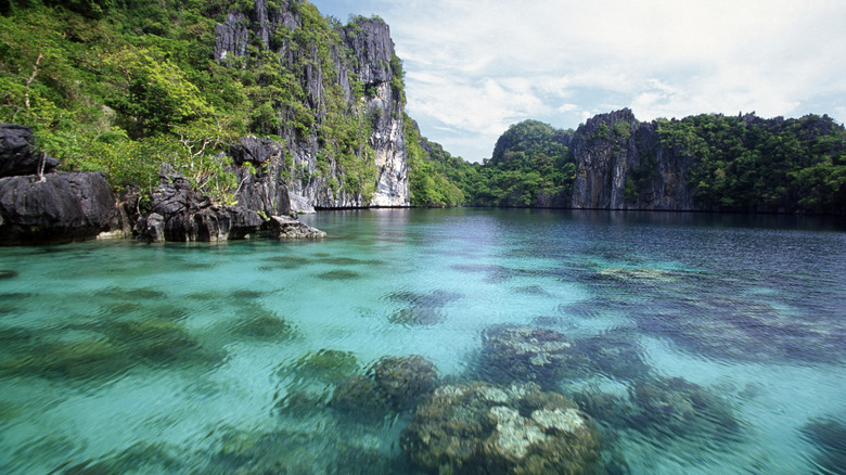 Big Lagoon at Miniloc Island in the Philippines