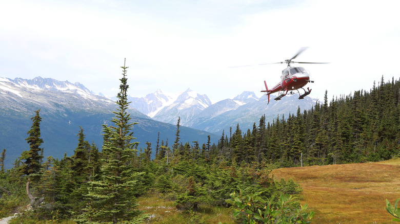 SAR helicopter flying above forest