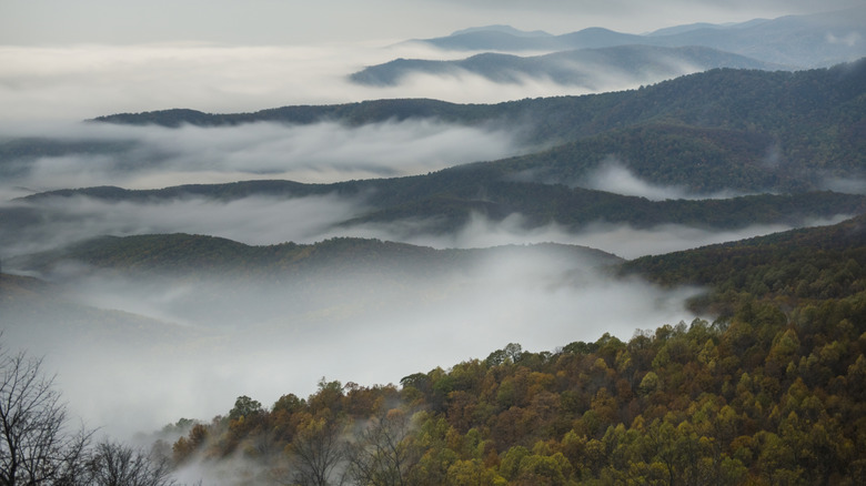 Shenandoah Valley Virginia mountain landscape