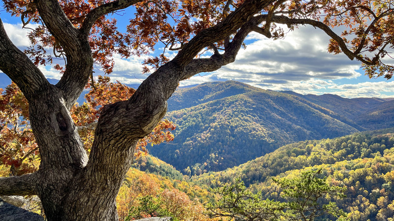 Views from the Blue Ridge Parkway, Virginia