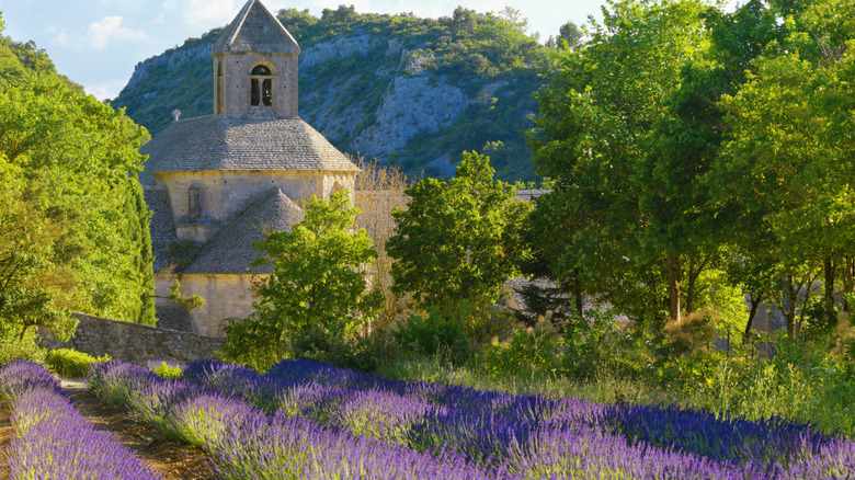 An abbey near lavender fields in Provence, France