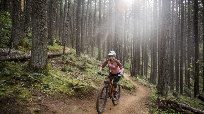 Woman biking in sunlit Oregon forest