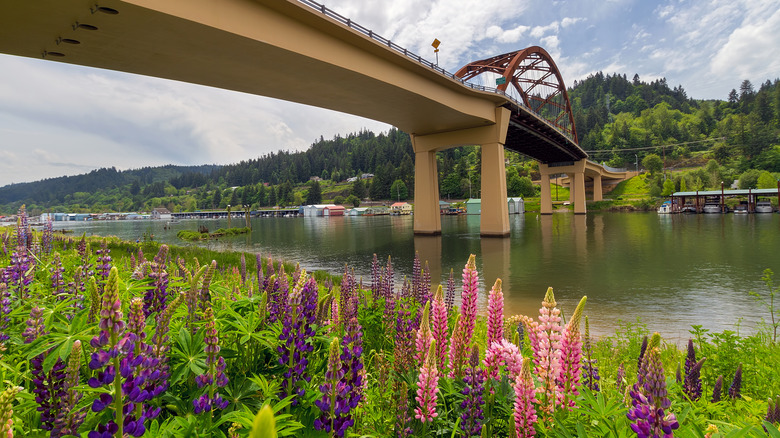 The Wapato Bridge