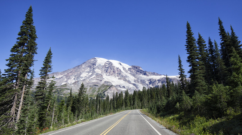 Road to Mount Rainier National Park