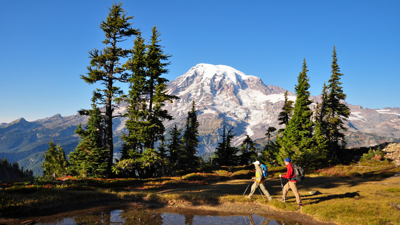 Two hikers walking near Mount Rainier