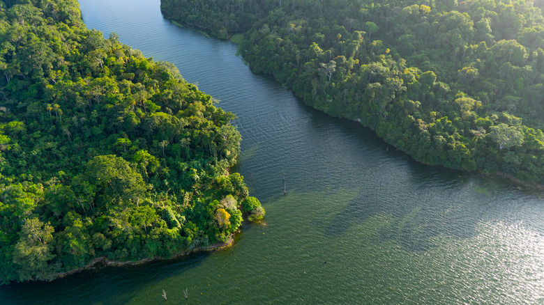 Ariel image of the Darien, Panama