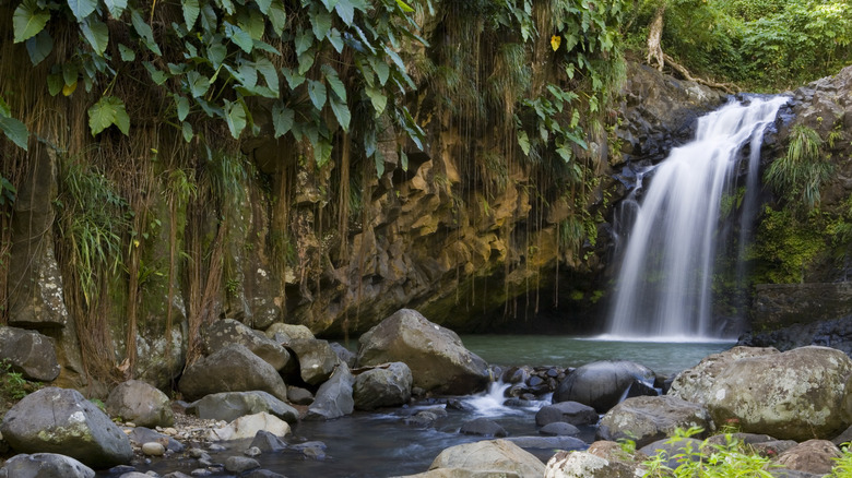 View of waterfall in Grenada