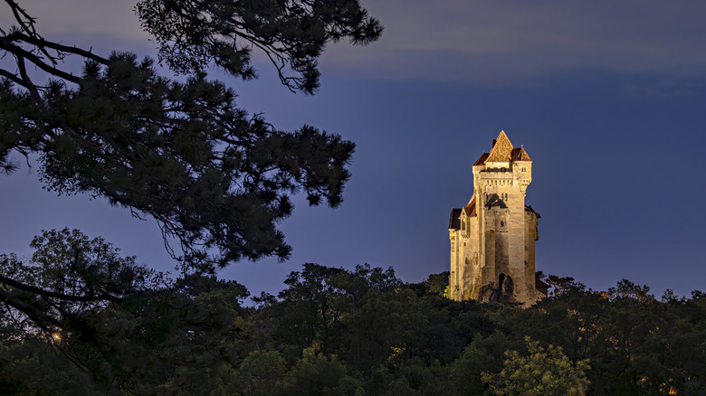 Nighttime landscape of the Liechtenstein Castle illuminated in Maria Enzersdorf, Austria