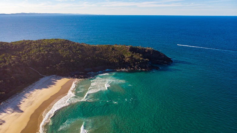 beach forest water rip current