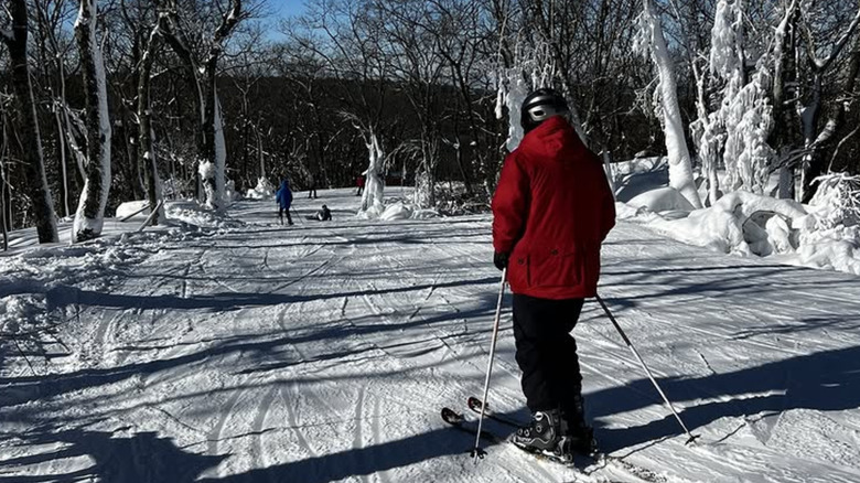 A skier enjoys a beginner's slope on Ski Butternut