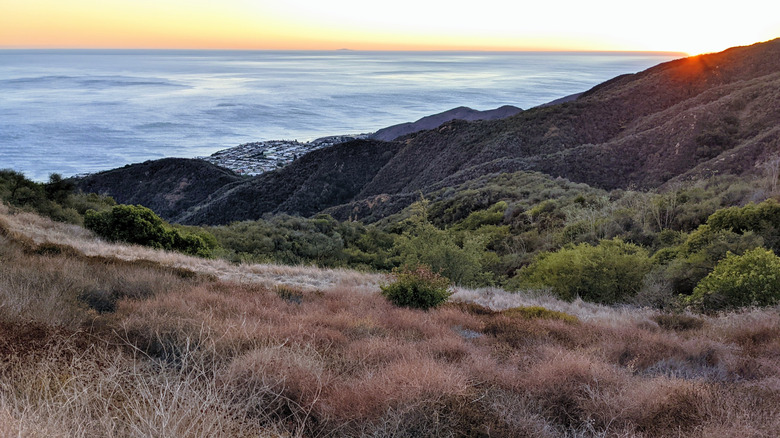 View of hills and ocean from Topanga State Park