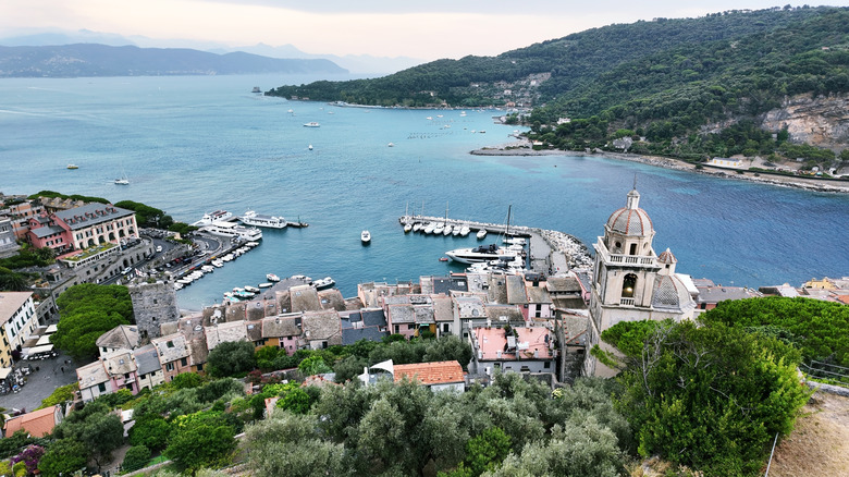 Aerial view of Porto Venere