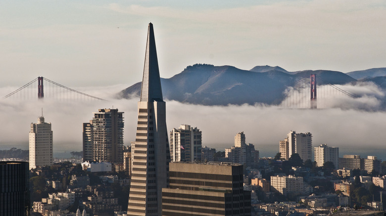 Aerial view of the Financial District in San Francisco