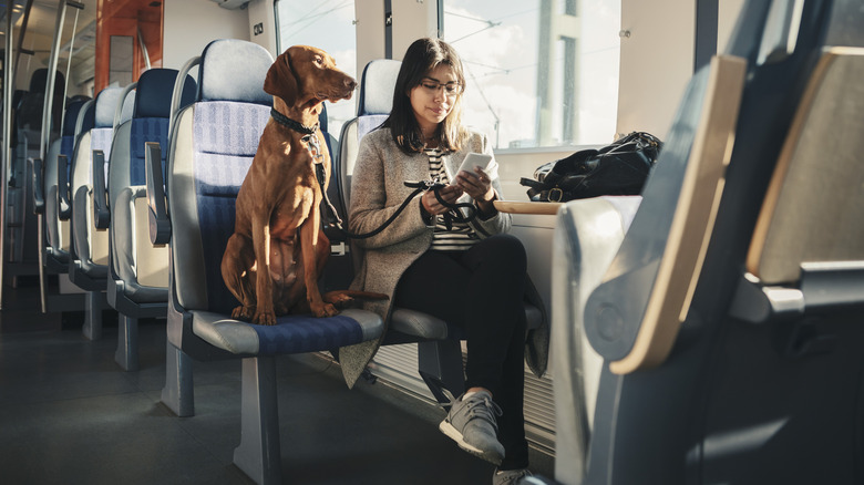 Woman on a train with a dog sitting next to her