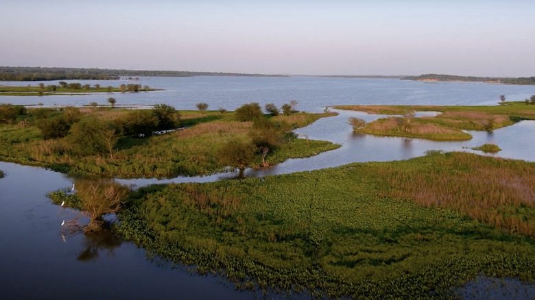 View of Lake Somerville State Park