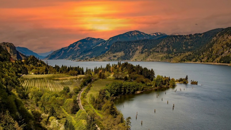 The Columbia River Gorge National Scenic Area near Hood River, Oregon, U.S.A. at sunset