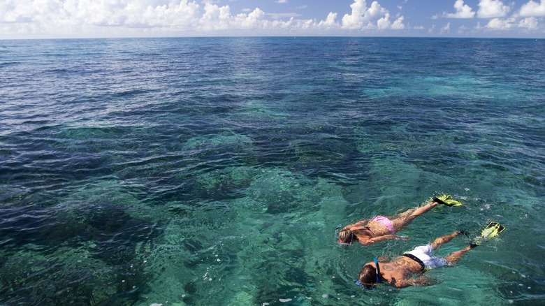 snorkelers at Key Largo