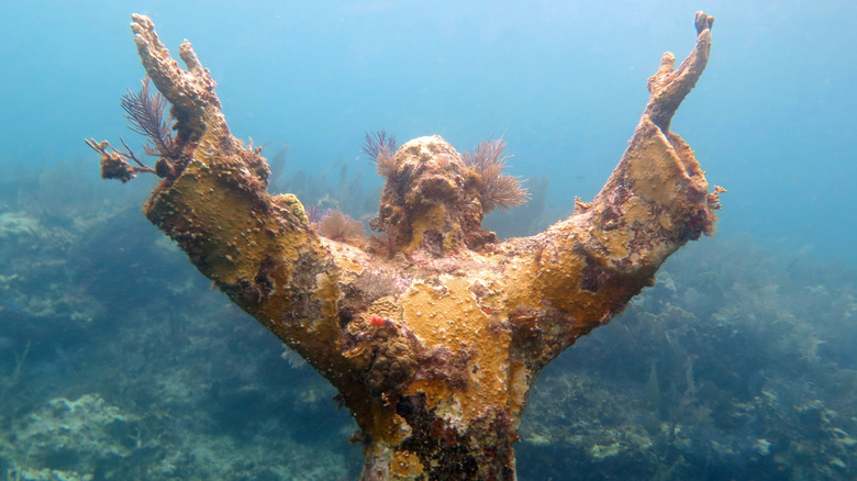 Christ the Deep at Pennekamp State Park, Florida