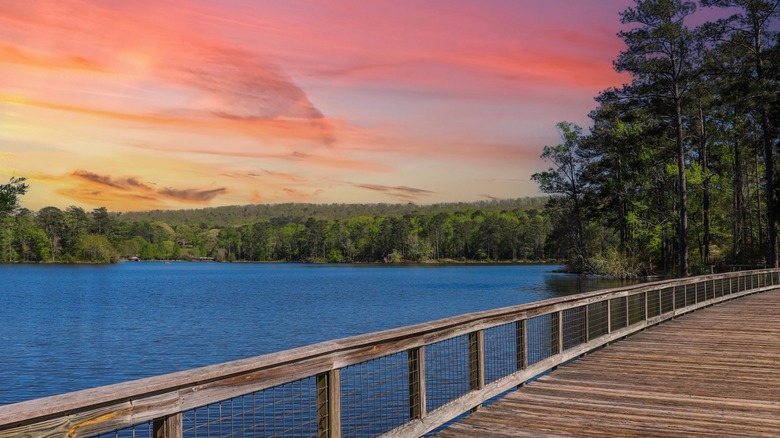 A lakeside boardwalk through Callaway Gardens at sunset