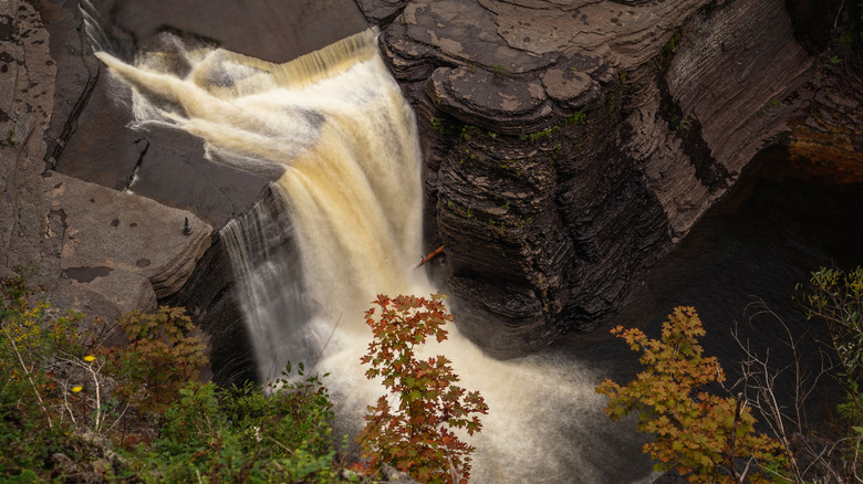 Trenton Falls with surrounding forest