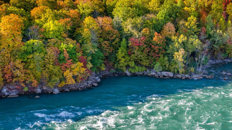 Niagara gorge at Devil's Hole State Park with fall foliage