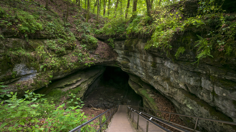 Entrance to Mammoth Cave within the Kentucky wilderness