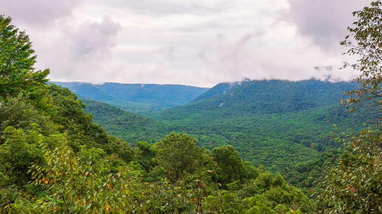 Baughman's Rock Overlook in Ohiopyle State Park