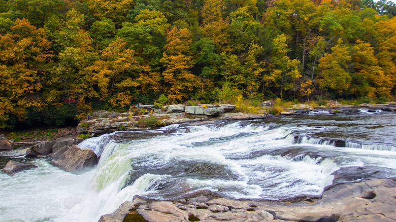 A waterfall in Ohiopyle State Park