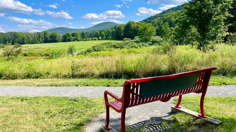 Park bench in Windham on beautiful summer day.