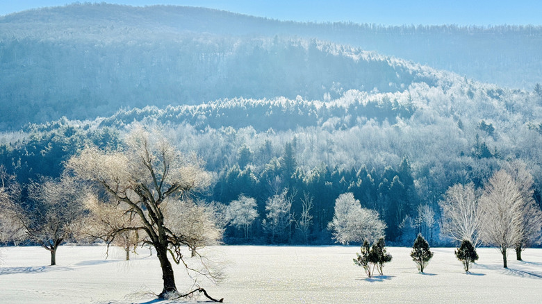 Winter moutains with snow in Windham.