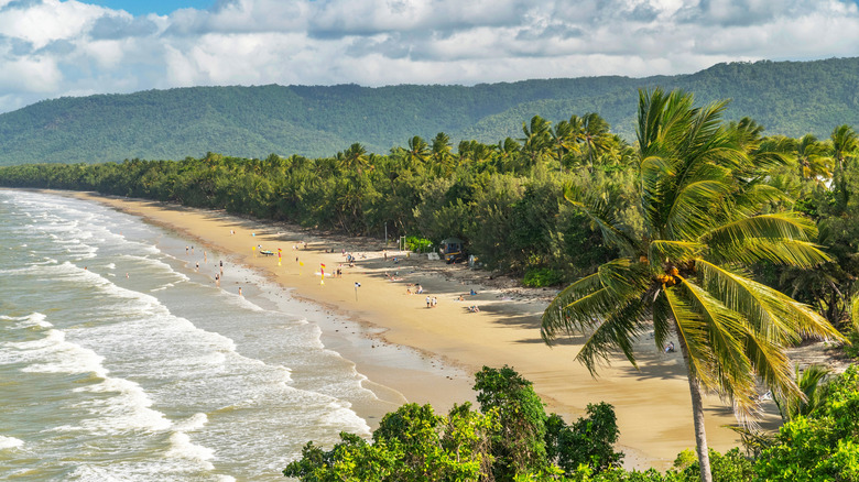 One of North Queensland's gorgeous beaches