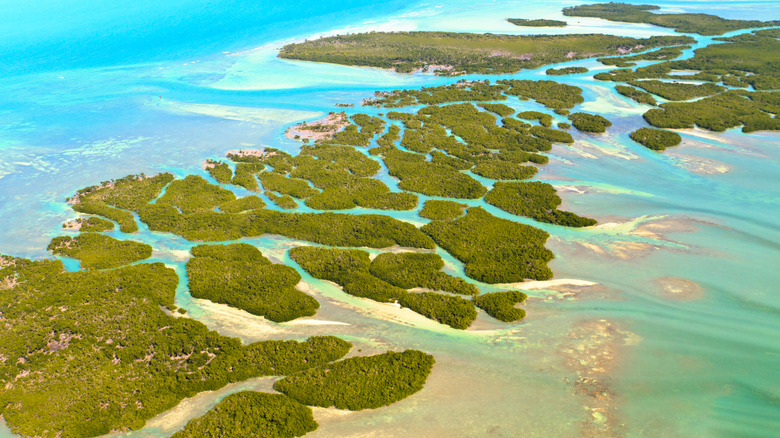 Aerial view of Florida Keys