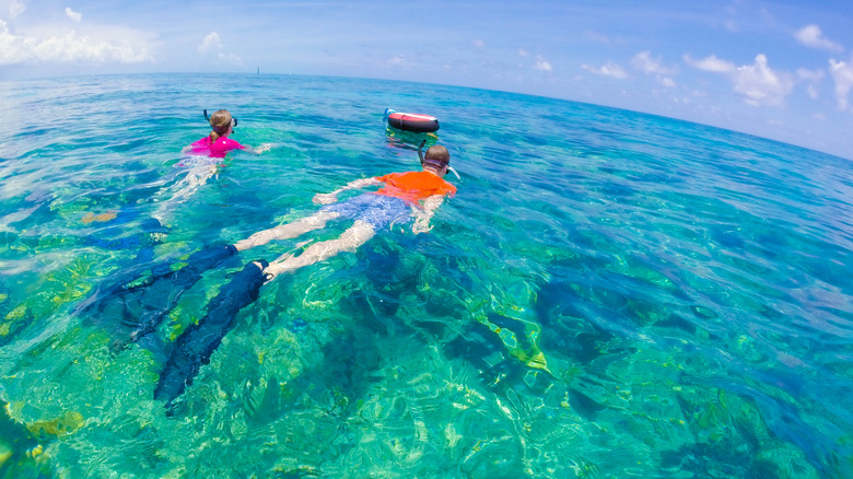 Couple snorkeling in the pristine waters surrounding Key West