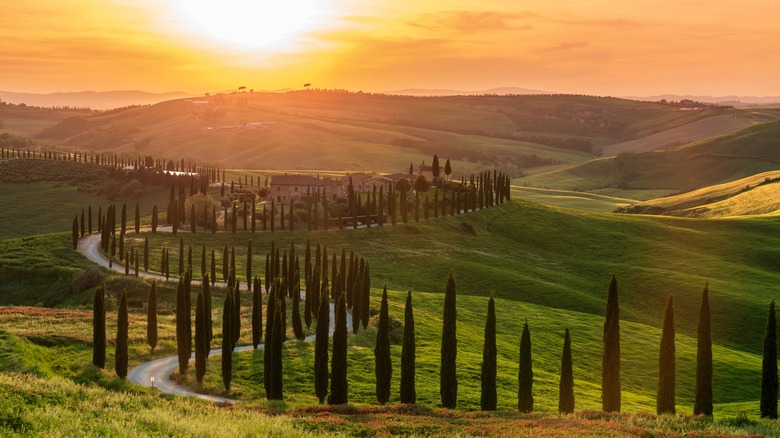 A countryside road in Tuscany