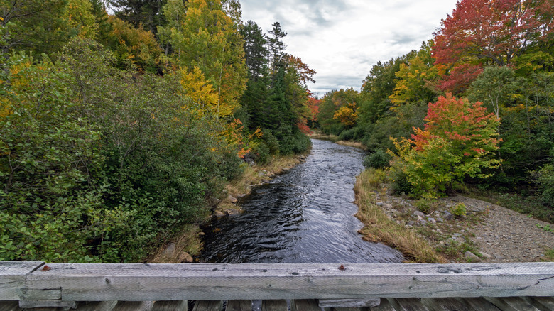 wooden bridge gulf hagas river