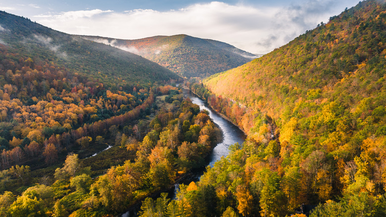 Pine Creek Gorge fall foliage overlook