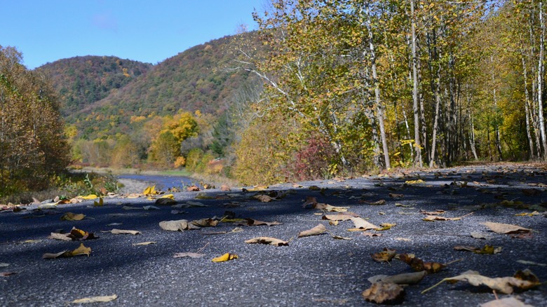 Pine Creek Rail Trail road surface