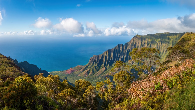 Panoramic view of Koke'e State Park with green ridges and ocean