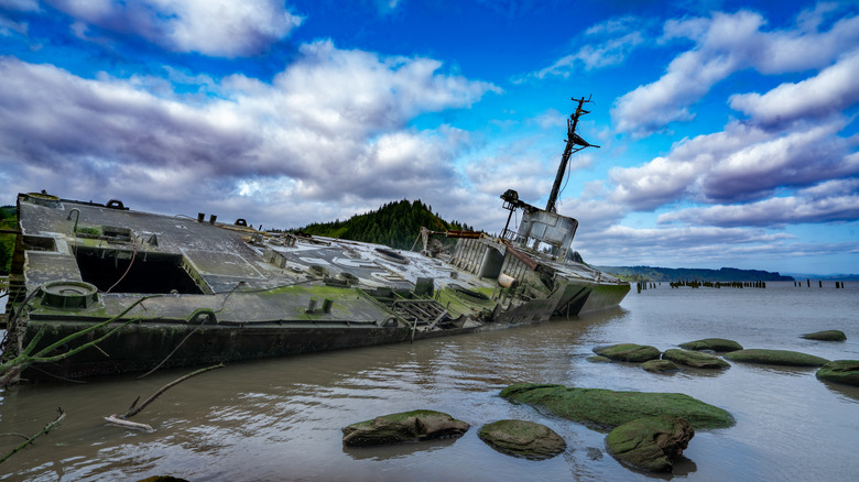 Shipwreck along the Columbia River under a blue sky