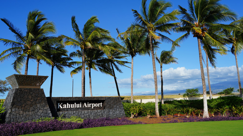 Kahului Airport sign by palm trees on sunny day