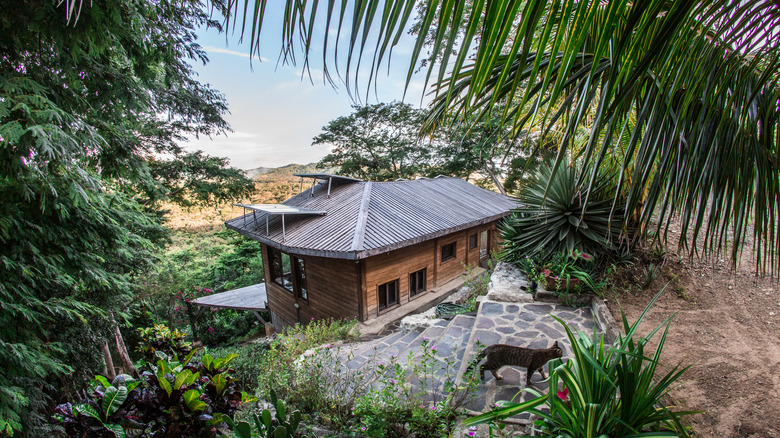 Wooden lodging in tropical hideaway