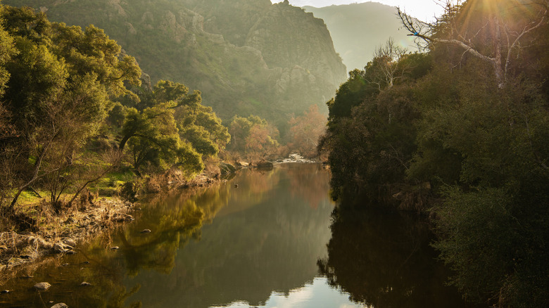 view of Malibu Creek State Park with lake and grasslands