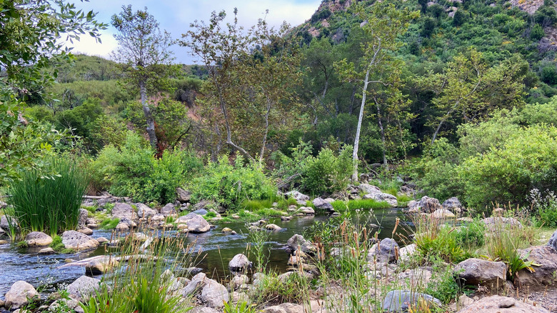 Rock pool area in Malibu Creek State Park