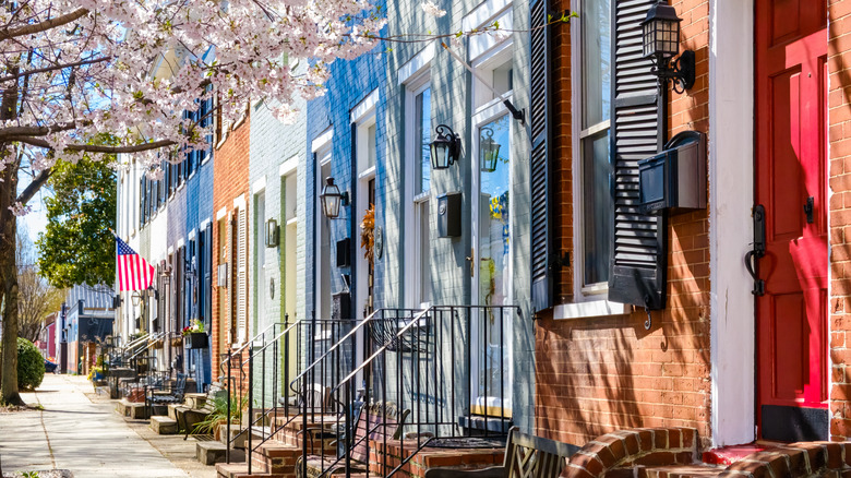 Alexandria colorful street townhouses