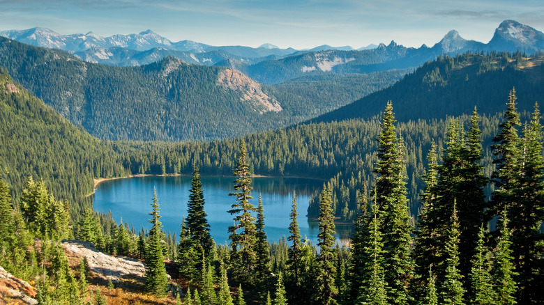 view of mountains and pines on the Pacific Crest Trail