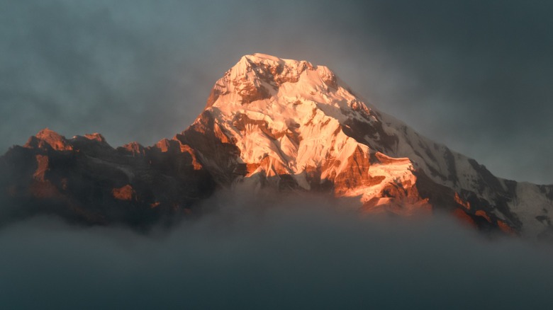 View of the alpine glow on the snow-capped Himalayas on the Annapurna Base Camp trail in Nepal at sunset