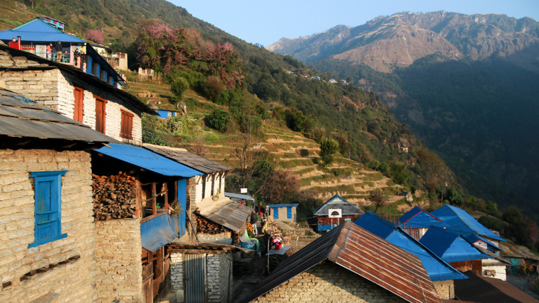 Typical local tea houses, seen along the Annapurna Base Camp trail in Nepal